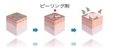 美容1.jpg