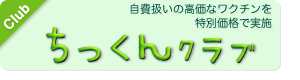 banner-mini1-5.png